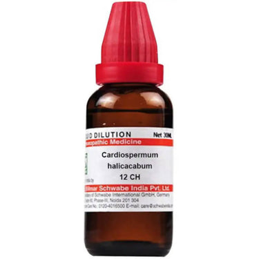 https://cdn.shopify.com/s/files/1/1857/6931/products/tAcARAnWxe.jpg?v=1641451364